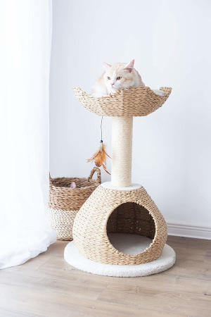 This all in one cat tree for apartments is light enough to be moved around easily.