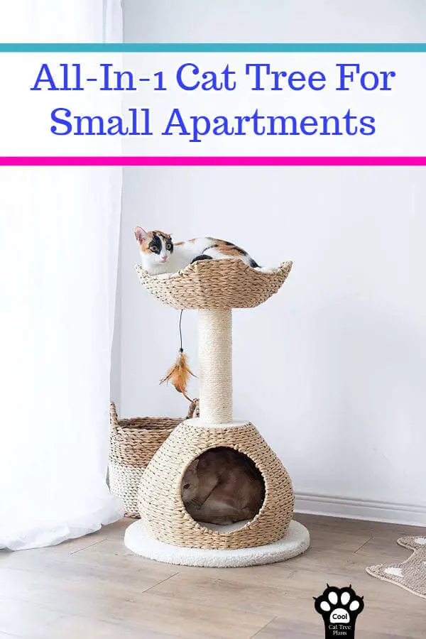 This all-in-1 cat tree for small apartments is perfect for someone in a small space.  It has a little bit of everything your cat needs to feel at home while looking fab.