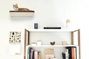 A sleek, modern floating cat shelf for with your contemporary decor.