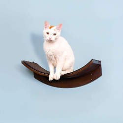 A small curved shelf from the Refined Feline