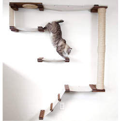 A cat perch kit with multiple shelves, a wall mounted scratching post and fabric cat hammocks.