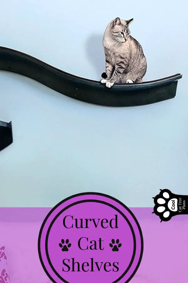 A cat sitting on a curved cat shelf