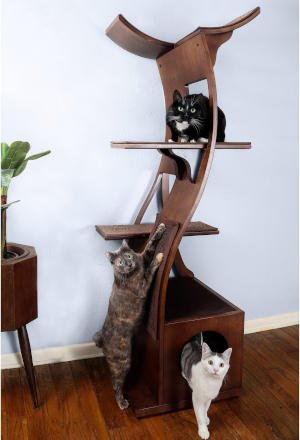 This is a tall, elegant cat tree, perfect for multi-cat households.  It's almost six feet tall, made from solid wood and is strong enough to handle even the largest of kitties.