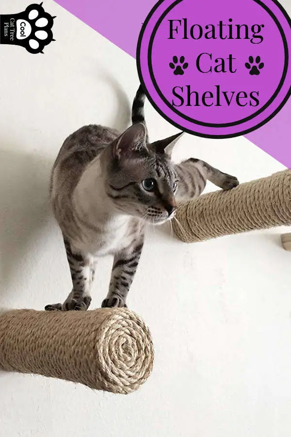 A cat climbing on some sisal floating cat shelves