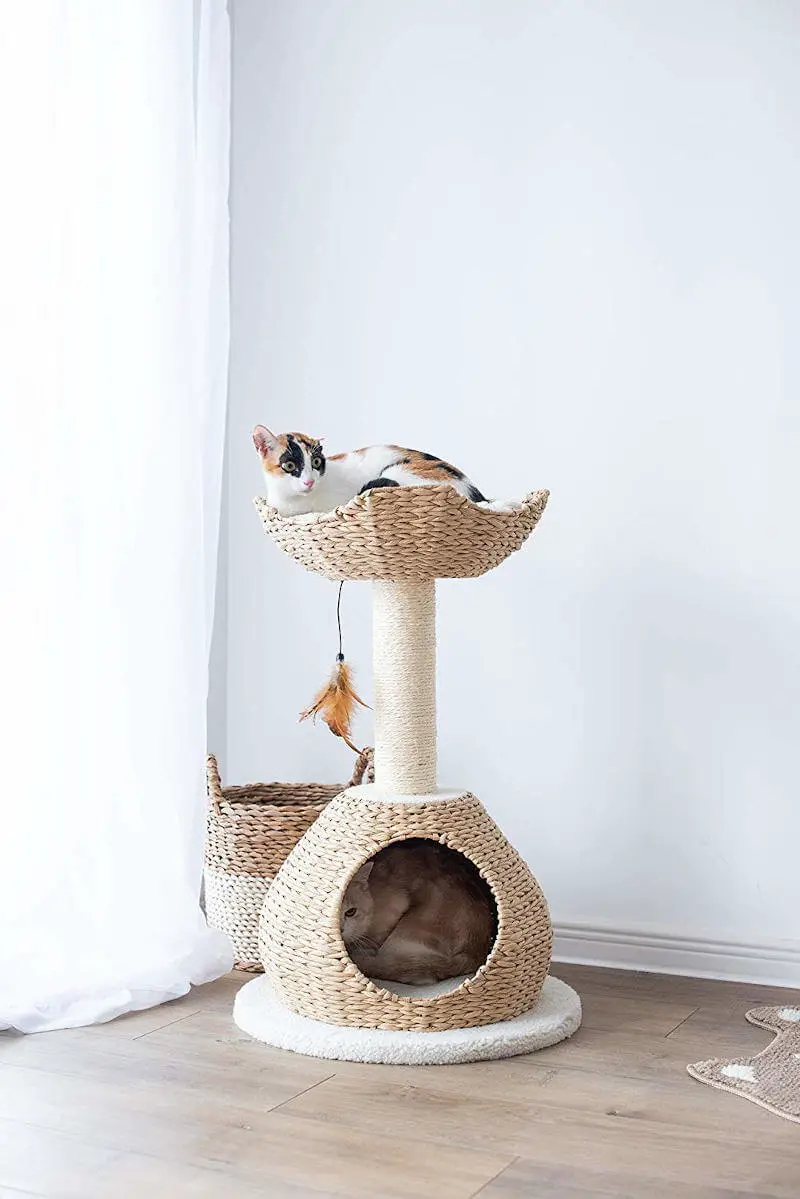 You can see this cat tree for small spaces is well suited for a multi-cat home just as well as a single cat.