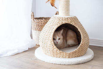 A paper rope cat condo.  Wicker style cat condo with scratching post.