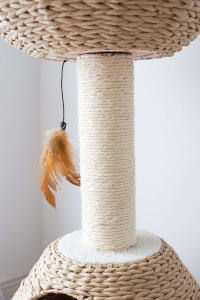 A good closeup on the scratching post and paper rope of this cat tree.