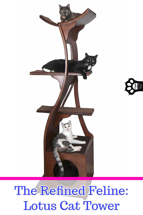 The Refined Feline Lotus cat tower is an amazing solid wood cat tree that works for all kinds of spaces, from small to large.