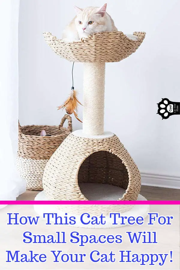 How will this cat tree for small spaces make your cat happy?  By giving them a space of their own with all the kitty necessities, packed into one compact cat tree. 