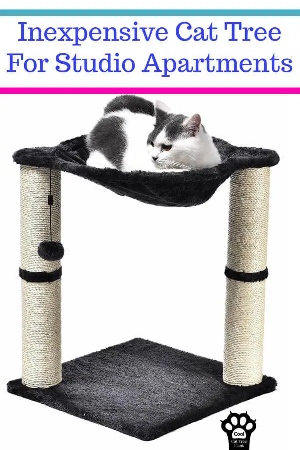 This inexpensive cat tree for studio apartments has a lot going for it.  It has a place to lounge and scratching posts to help keep your furniture and carpet from being clawed.