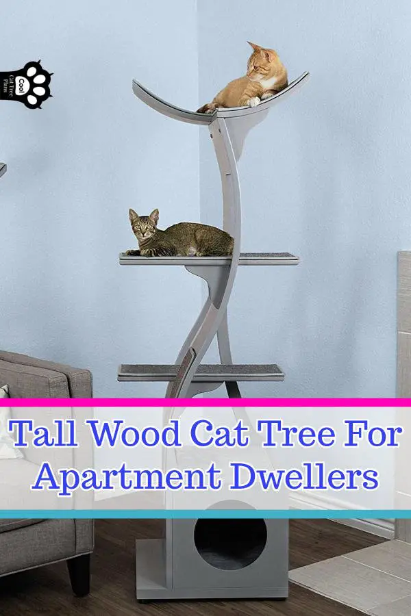 This tall wood cat tree for apartment dwellers is a great solution for smaller spaces.