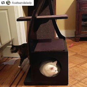A cozy cat condo is nestled at the bottom of this tall cat tree.