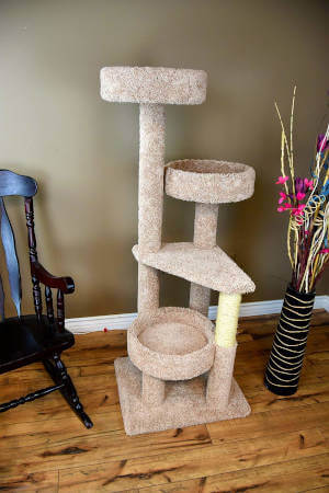 You can see this cat-approved tall 4 level cat tree fits easily into the home.