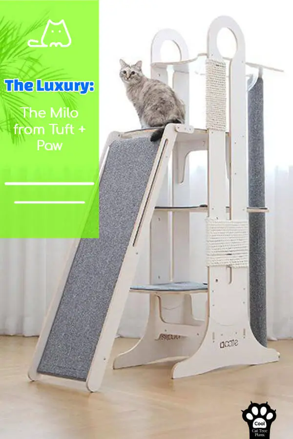 This luxury cat tree from Tuft + Paw is amazing for families with large cats who like heights.  If you like modern and minimalist designs, this is it.