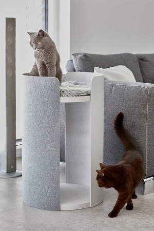 The MiaCara Torre cat tree is wonderful because it can blend right into your decor.  It won't feel gaudy, dated, or cheap.  It's a luxury cat tree that your cat will surely appreciate.