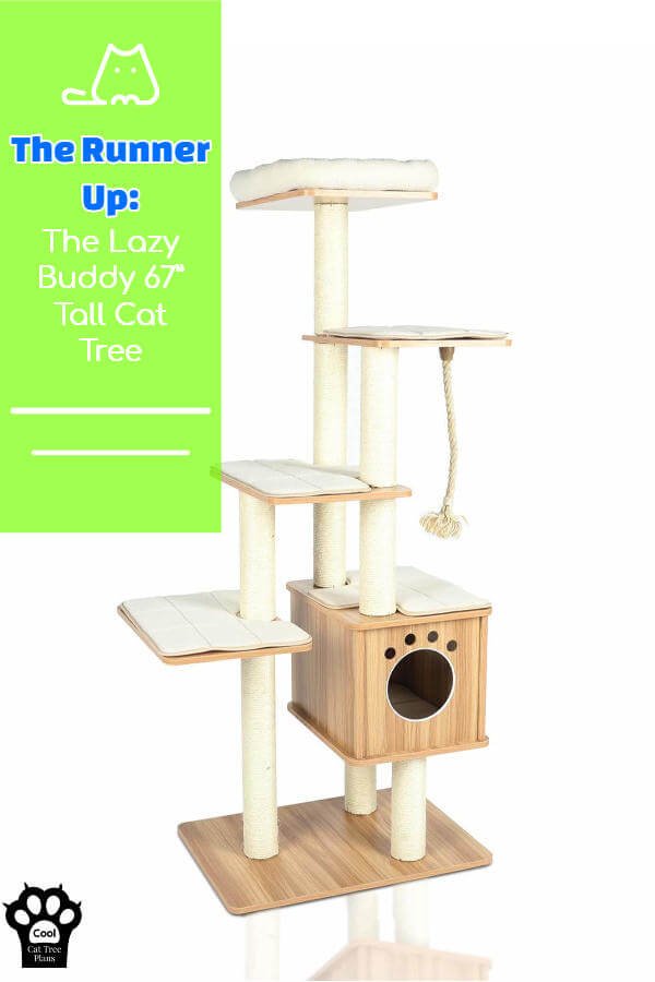 The Lazy Buddy tall cat tree is perfect for large cats like Maine Coons and Ragdolls.  It's cute, tall and easy to clean.