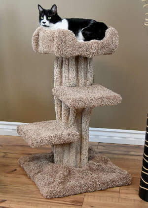 You can easily see how well this cat tree can fit into a home.