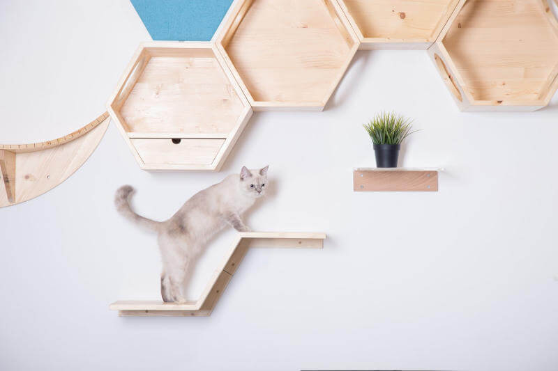 The Zone, the lowest shelf on display, is seen working with and easily complimenting the Busy Cat hexagonal cat shelves above.