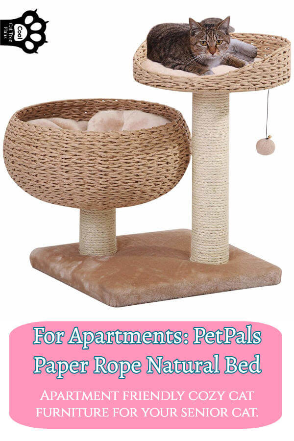Our Apartment Pick: PetPals Paper Rope Natural Bed.  It's a great cat tree for apartment dwellers with older and senior cats.