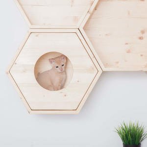 The front plate fits securely onto the front of the cat shelf, making a safe and enclosed little cubby for your kitty!