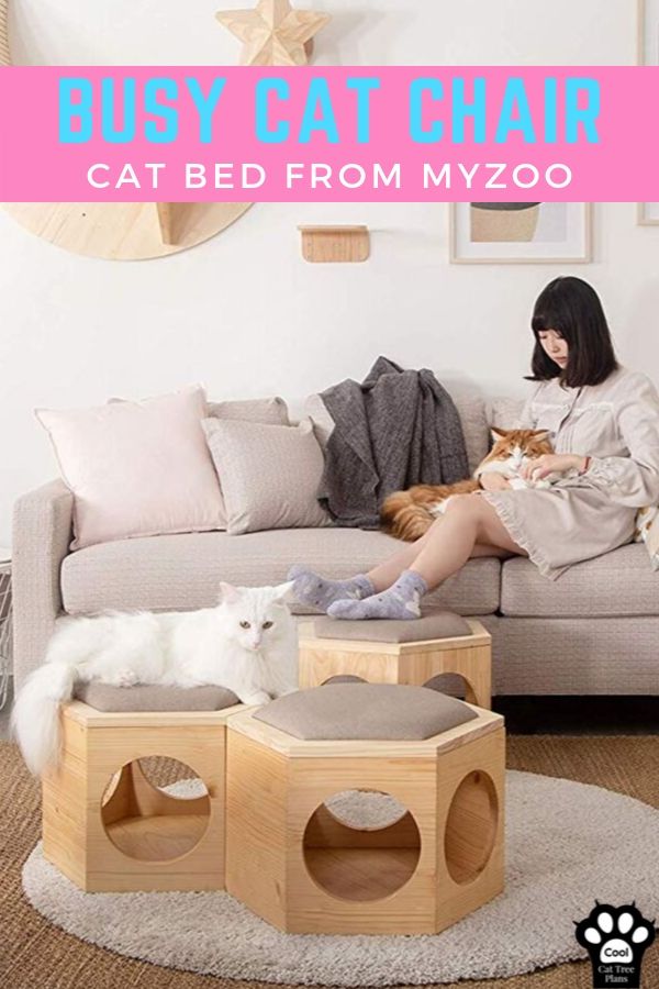 MyZoo Busy Cat shelves can transform into a wonderful cat bed when used like this, with their chair plates.