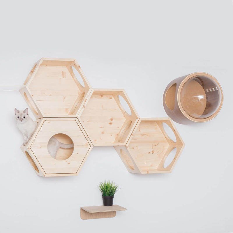 You can see how the cover plate from MyZoo was used to change up and add to this little honeycomb-like kitty shelving system.