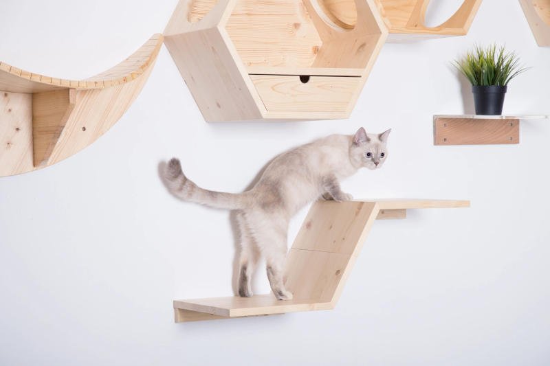 The MyZoo Zone cat shelf is set up to work perfectly with their other pieces, using its simple minimalist cat shelf design to compliment the more complicated statement pieces.