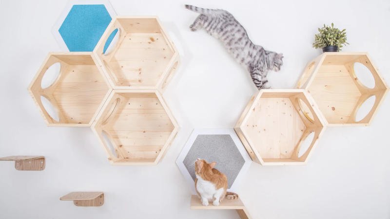 Five Busy Cat shelves have been combined with a few other smaller shelves to make a kitty playground on the wall.