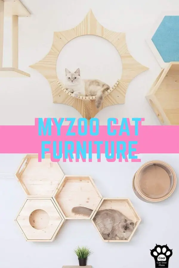 MyZoo Cat Furniture is an amazing designer cat furniture brand with unique and strong designs that will make both large and small cats happy.