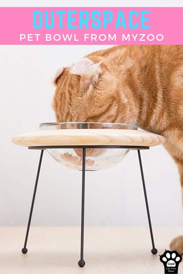 The Outerspace pet bowl is a UFO inspired elevated feeding station for your cat or small dog.