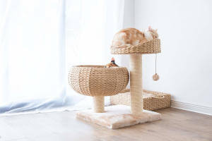 This paper rope cat tree is perfect for multi-cat homes as well, with two beds, your cats can either snuggle together or have their own spot.