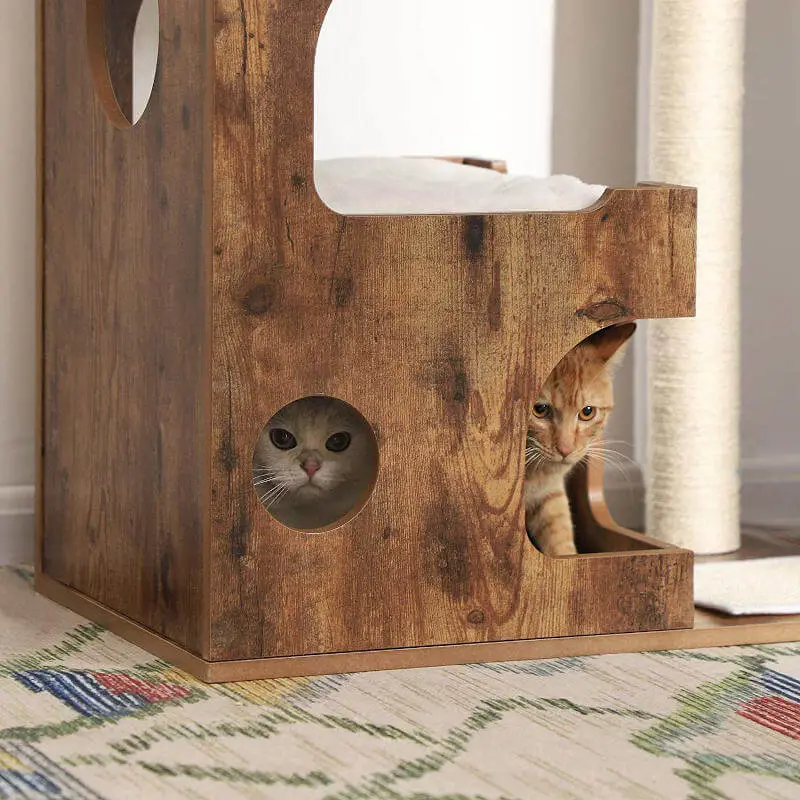 Two cats enjoying the cozy ground level cat condo on this stylish cat tree.