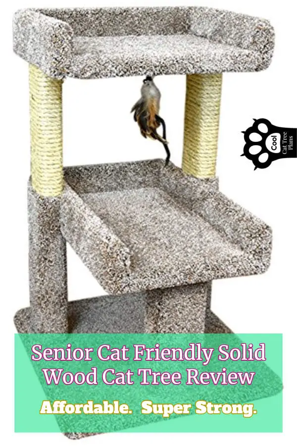 This senior cat friendly solid wood cat tree is affordable and very strong.