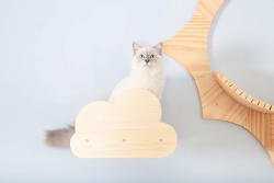 The Moku cat shelf is such a cool cloud design, it's an excellent stand alone piece or they can be great steps up to something like the Solar cat shelf.