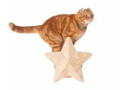 This cat wall step and sisal post is designed to look like a cheerful twinkling star.