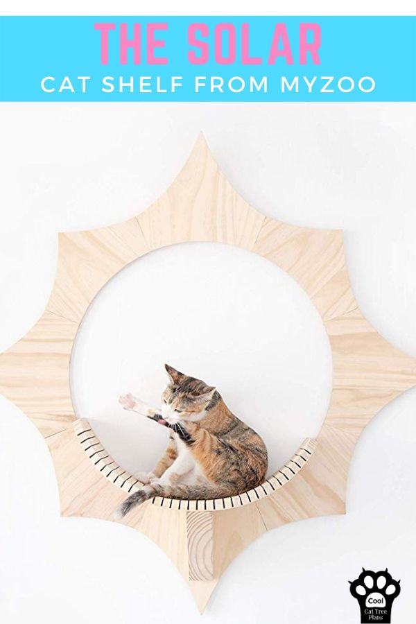 The Solar cat shelf from MyZoo is a functional piece of art that you and your cat can enjoy.  Strong enough to hold large and small cats alike, and sure to start conversations when you have guests.