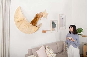 A cat happily using this cat step as a scratching post from their large MyZoo Luna lounging shelf.