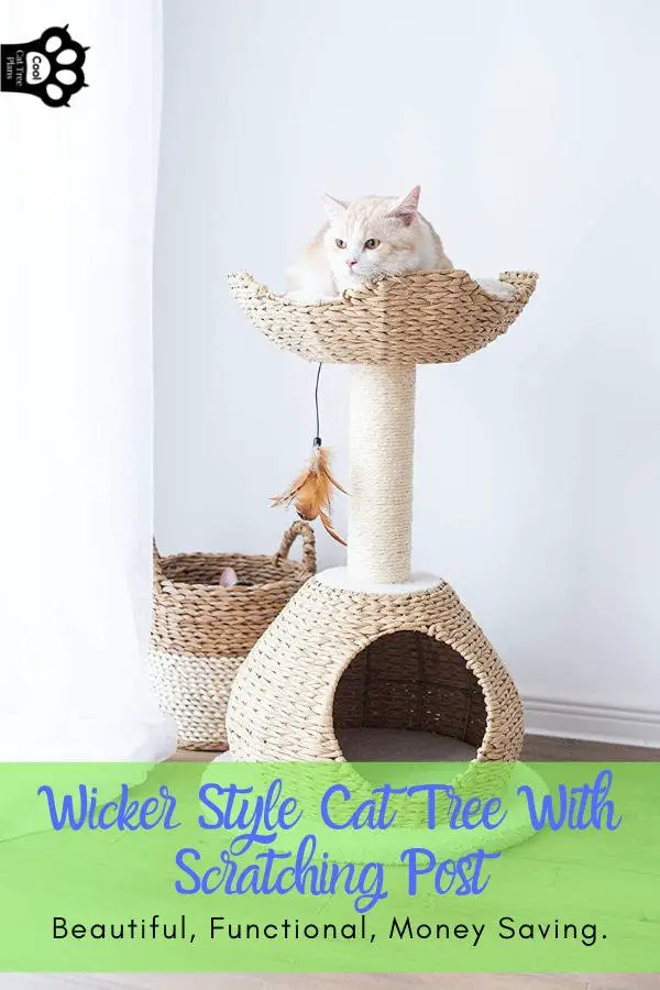 A wicker style cat tree with scratching post like this one can be an excellent money saver and space saver.  This is an excellent cat tree for apartment dwellers.