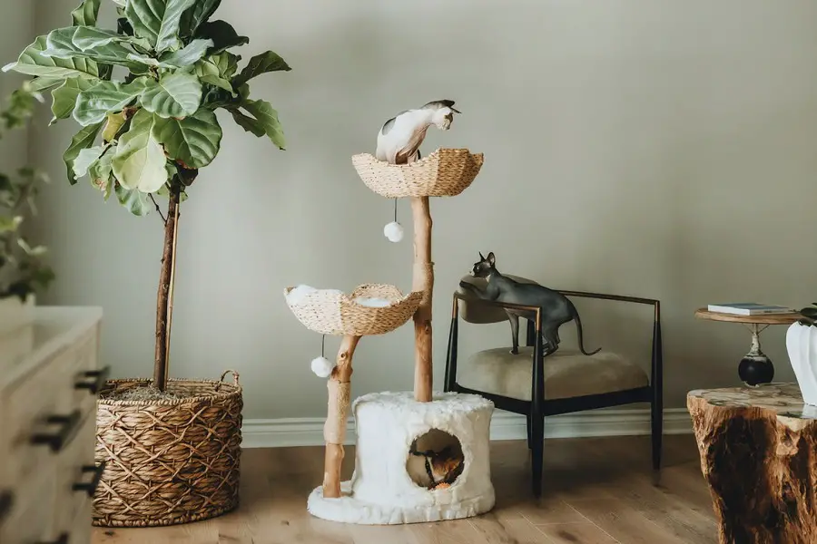 Here is a two platform cat tree from The Mau Store on Etsy.