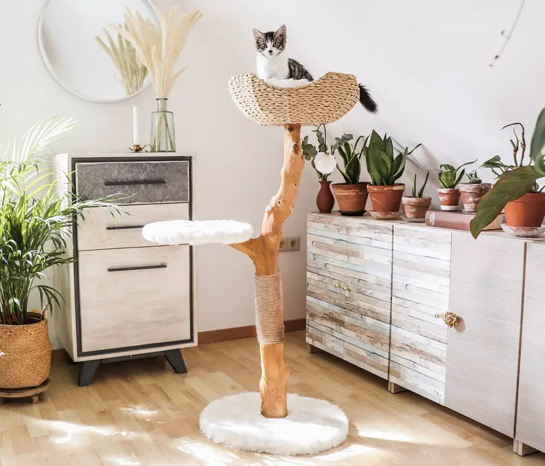 A natural wood cat tree with plush accents, it's lovely and modern while having a faintly rustic feel.