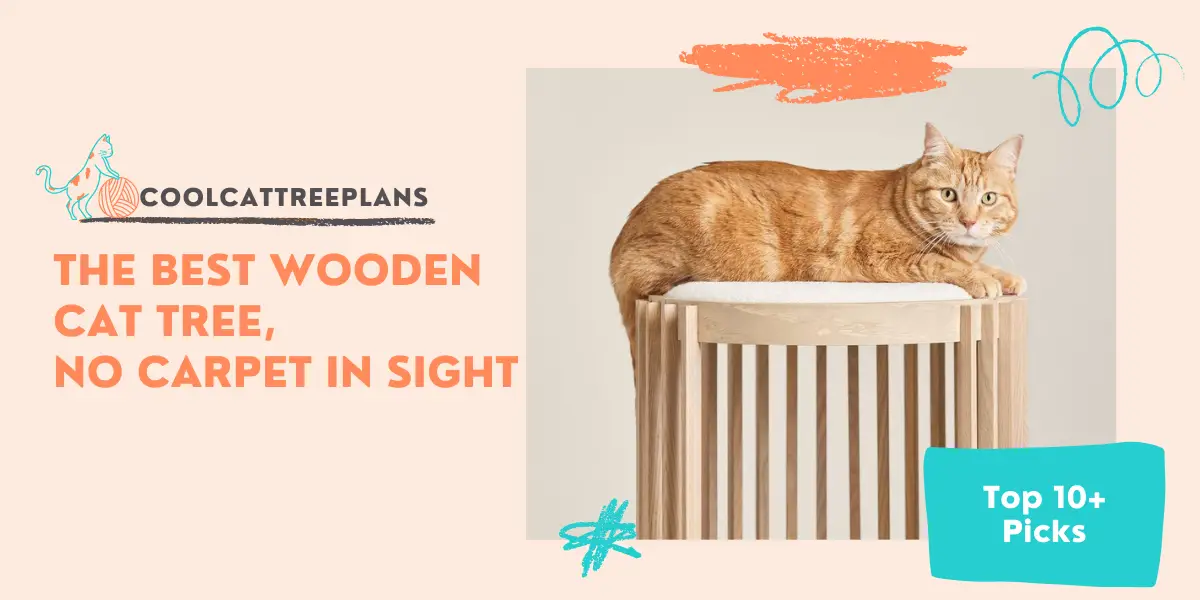 The best wooden cat tree, no carpet in sight.  Our top 10+picks for cat trees without carpet.