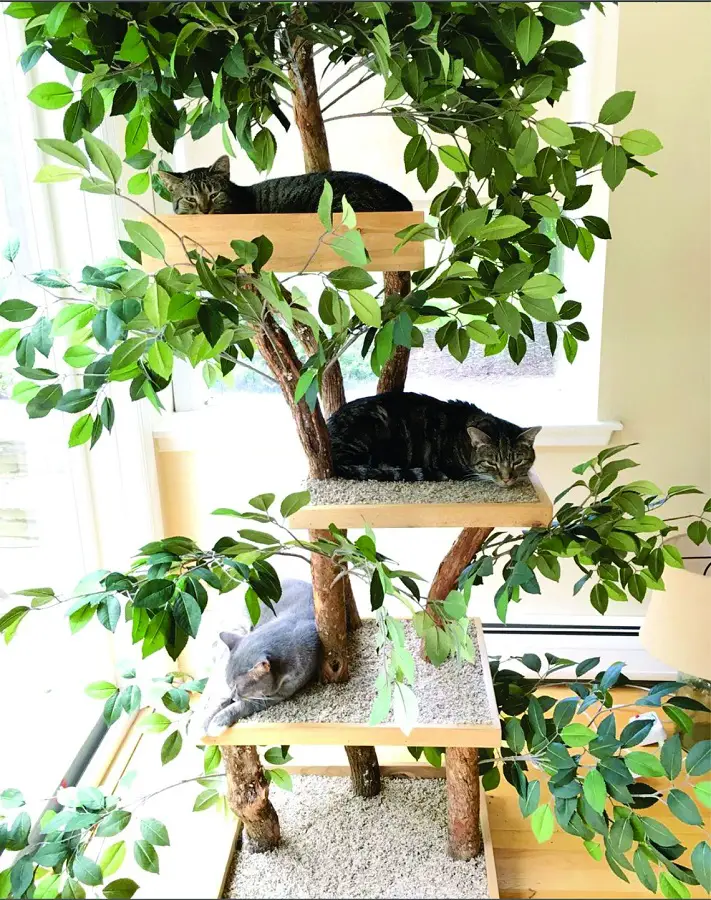 The Kit-ty Deluxe is a one of a kind cat tree that I've only ever seen at this shop.  They are made from natural tree branches and silk leaves to give your their own little jungle to enjoy.