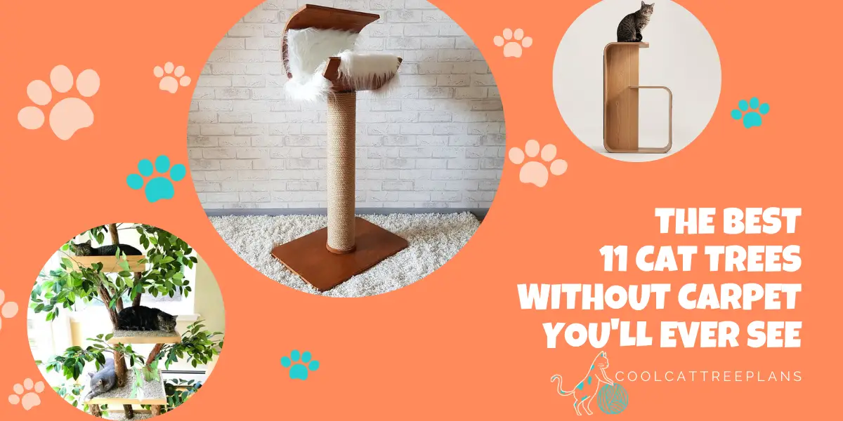 The best cat tree without carpet you'll ever see!  
